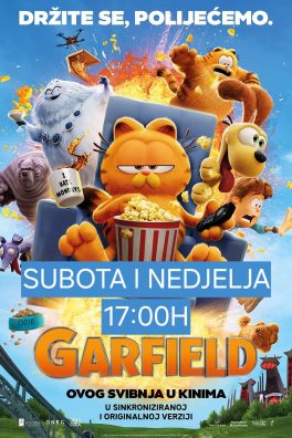 Garfield 2024 – SINK