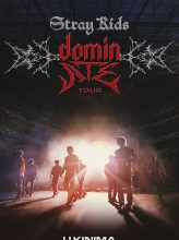 STRAY KIDS: THE DOMINATE EXPERIENCE