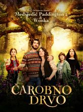 Čarobno drvo – The Magic Faraway Tree